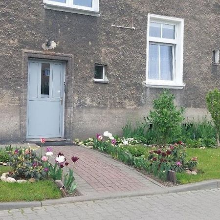 Apartament W Centrum Nysa Kültér fotó